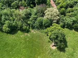 Prodej podílu zemědělské usedlosti, Bradlecká Lhota, 394 m2