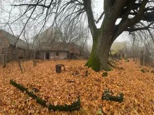 Prodej podílu louky, Bradlecká Lhota, 52392 m2