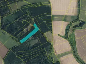 Prodej louky, Zdobín, 145881 m2