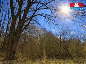 Prodej lesa, Snědovice - Střížovice, 2037 m2