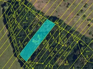 Prodej lesa, Silůvky, 462 m2