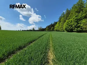 Prodej pozemku pro bydlení, Borová, 5776 m2