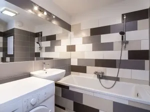 Pronájem bytu 3+kk, Ostrava, Zelená, 62 m2