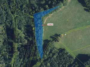 Dražba lesa, Kladky, 3057 m2