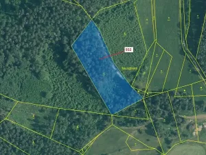 Dražba lesa, Rabí, 7006 m2