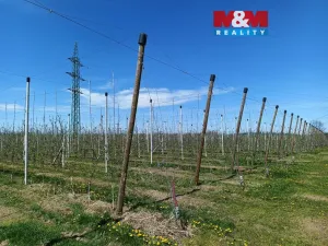 Prodej pole, Synkov-Slemeno - Slemeno, 8946 m2