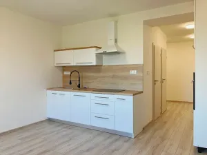 Pronájem bytu 3+kk, Ostrava, Budovatelská, 60 m2
