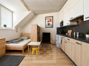 Pronájem bytu 1+kk, Brno, 38 m2