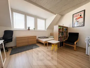 Pronájem bytu 1+kk, Brno, 38 m2