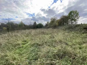 Prodej pozemku, Javorník - Horní Hoštice, 1651 m2