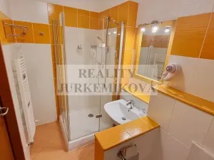 Pronájem bytu 1+kk, Frymburk, 30 m2
