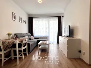 Pronájem bytu 1+kk, Brno, Spolková, 38 m2