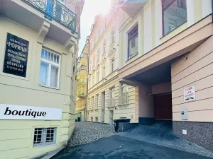 Prodej obchodního prostoru, Karlovy Vary, Zámecký vrch, 111 m2
