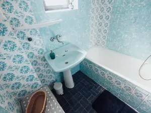 Prodej rodinného domu, Nedachlebice, 410 m2