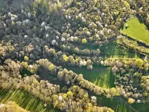 Prodej pozemku pro bydlení, Okounov, 13326 m2