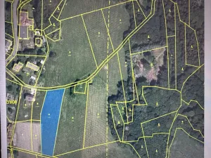 Prodej louky, Loužnice, 3786 m2