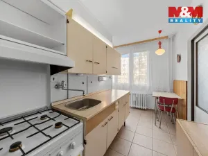 Prodej bytu 2+1, Ústí nad Labem - Severní Terasa, Burianova, 49 m2