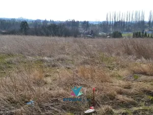 Prodej komerčního pozemku, Modlany, 6268 m2