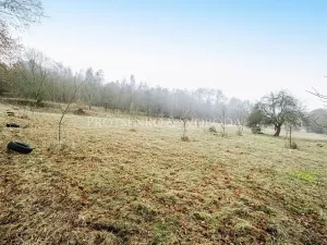 Prodej komerčního pozemku, Letovice, Nádražní, 3080 m2