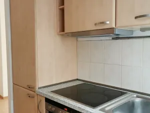 Prodej bytu 2+kk, Brno, Otiskova, 62 m2