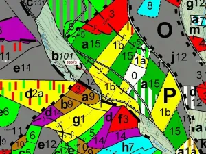Dražba lesa, Jílové u Držkova, 2349 m2