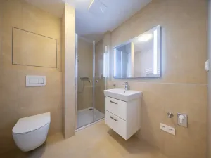 Pronájem bytu 1+kk, Brno, U zoologické zahrady, 29 m2