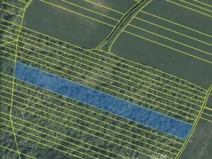 Prodej lesa, Šarovy, 11619 m2