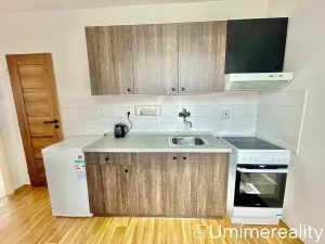 Pronájem bytu 1+1, Mladá Boleslav, Zalužanská, 42 m2