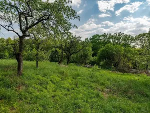 Prodej pozemku pro bydlení, Veliny, 1236 m2