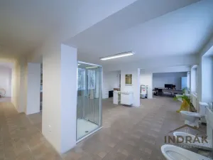 Prodej obchodního prostoru, Nový Jičín, Hřbitovní, 726 m2