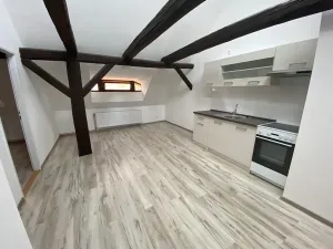 Prodej vícegeneračního domu, Žatec, náměstí 5. května, 400 m2