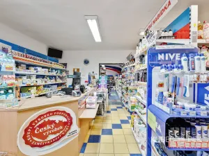 Prodej obchodního prostoru, Kamenice nad Lipou, Dobšova, 270 m2