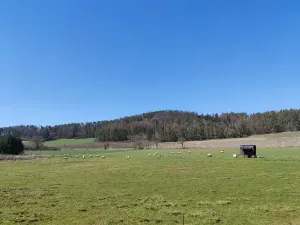 Prodej pozemku pro bydlení, Horažďovice, 1125 m2