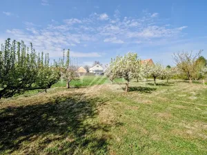 Prodej pozemku pro bydlení, Brázdim, 520 m2