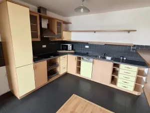 Pronájem bytu 4+kk, Plzeň, Přemyslova, 180 m2