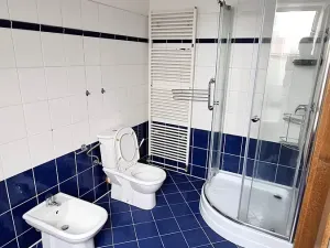 Pronájem bytu 4+kk, Plzeň, Přemyslova, 180 m2