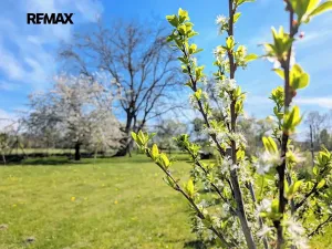 Prodej chaty, Tuněchody, 7 m2
