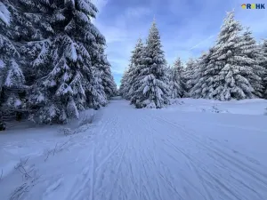 Prodej pozemku pro bydlení, Říčky v Orlických horách, 5940 m2