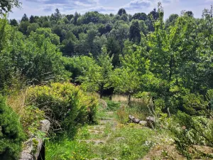 Prodej chaty, Kamenná Horka, 78 m2