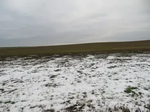 Dražba louky, Račice nad Trotinou, 18528 m2