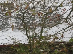 Dražba chaty, Zlatá Koruna, 10 m2