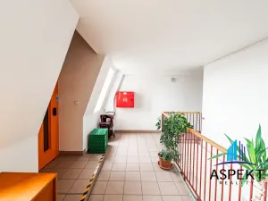 Prodej bytu 4+kk, Praha - Žižkov, Nad Ohradou, 94 m2