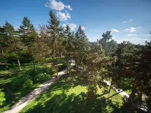 Prodej bytu 3+1, Brno, Haškova, 67 m2