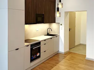 Prodej bytu 2+kk, Český Těšín, Frýdecká, 44 m2