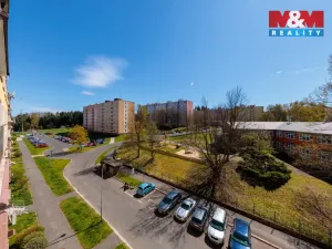 Prodej bytu 3+1, Sokolov, Mánesova, 60 m2