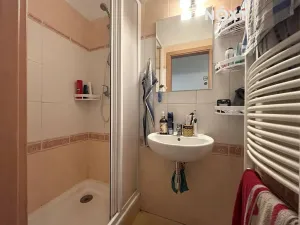 Pronájem bytu 2+kk, České Budějovice, Dr. Stejskala, 47 m2