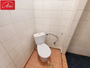 Prodej bytu 3+1, Teplice, U Hadích lázní, 107 m2