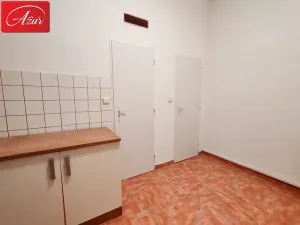 Prodej bytu 3+1, Teplice, U Hadích lázní, 107 m2