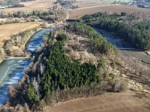 Prodej lesa, Chotoviny, 35440 m2