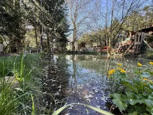 Pronájem rodinného domu, Volduchy, 110 m2